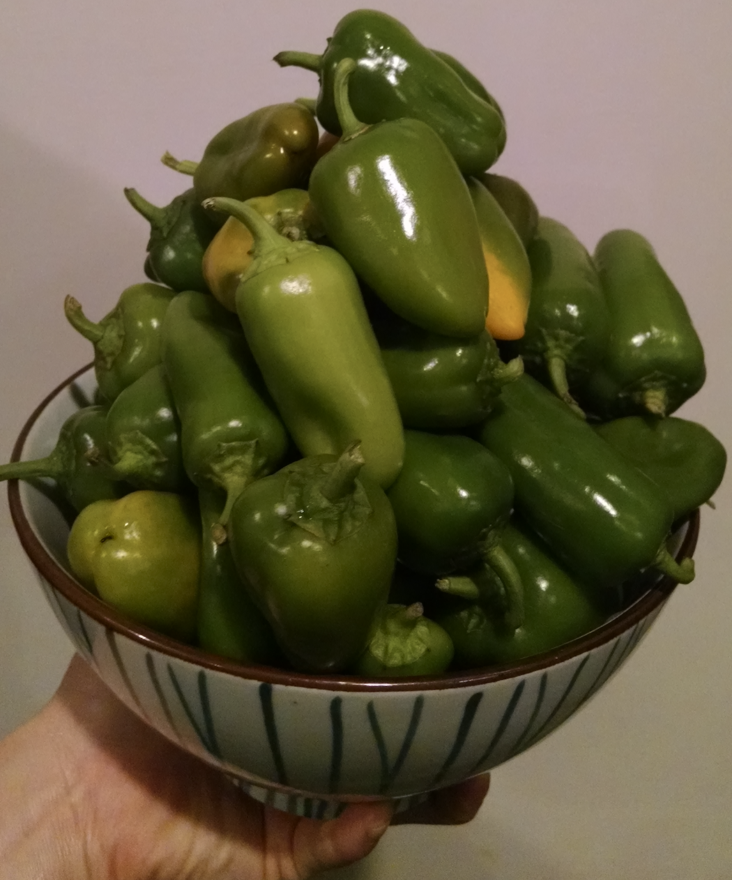 A bowl piled high with jalapeño peppers.