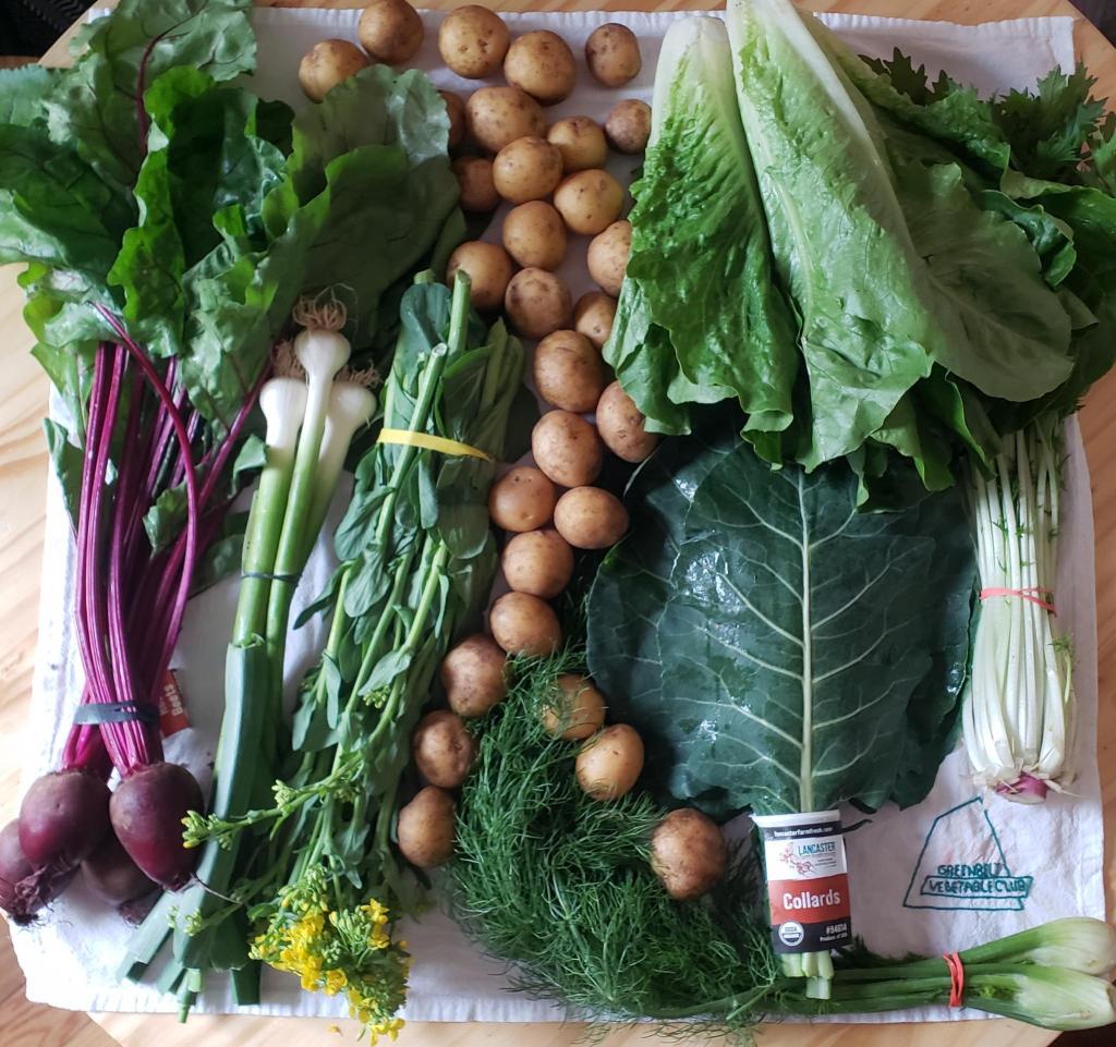 Week 4 Grand&nbsp;Opening