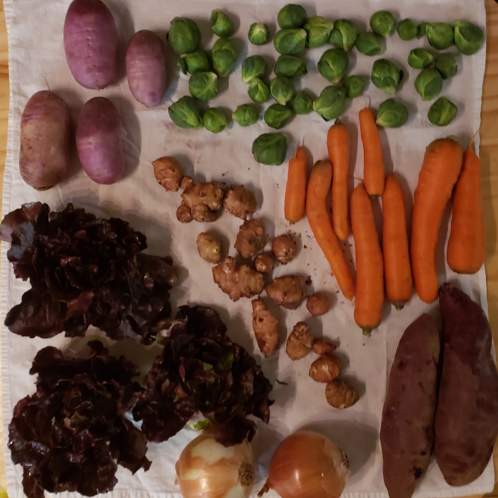 Mt. Rainier Vegetable&nbsp;Club