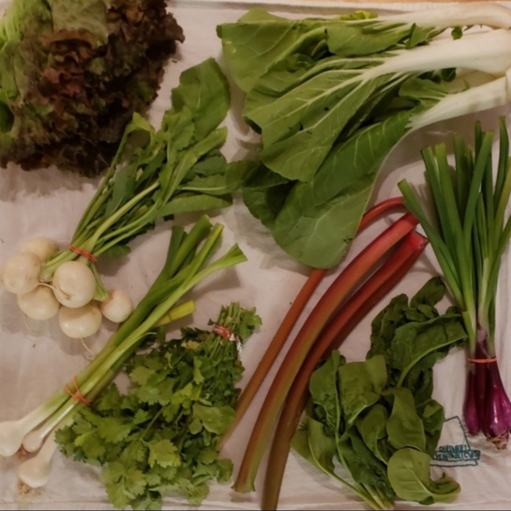 Week 4 Unboxing