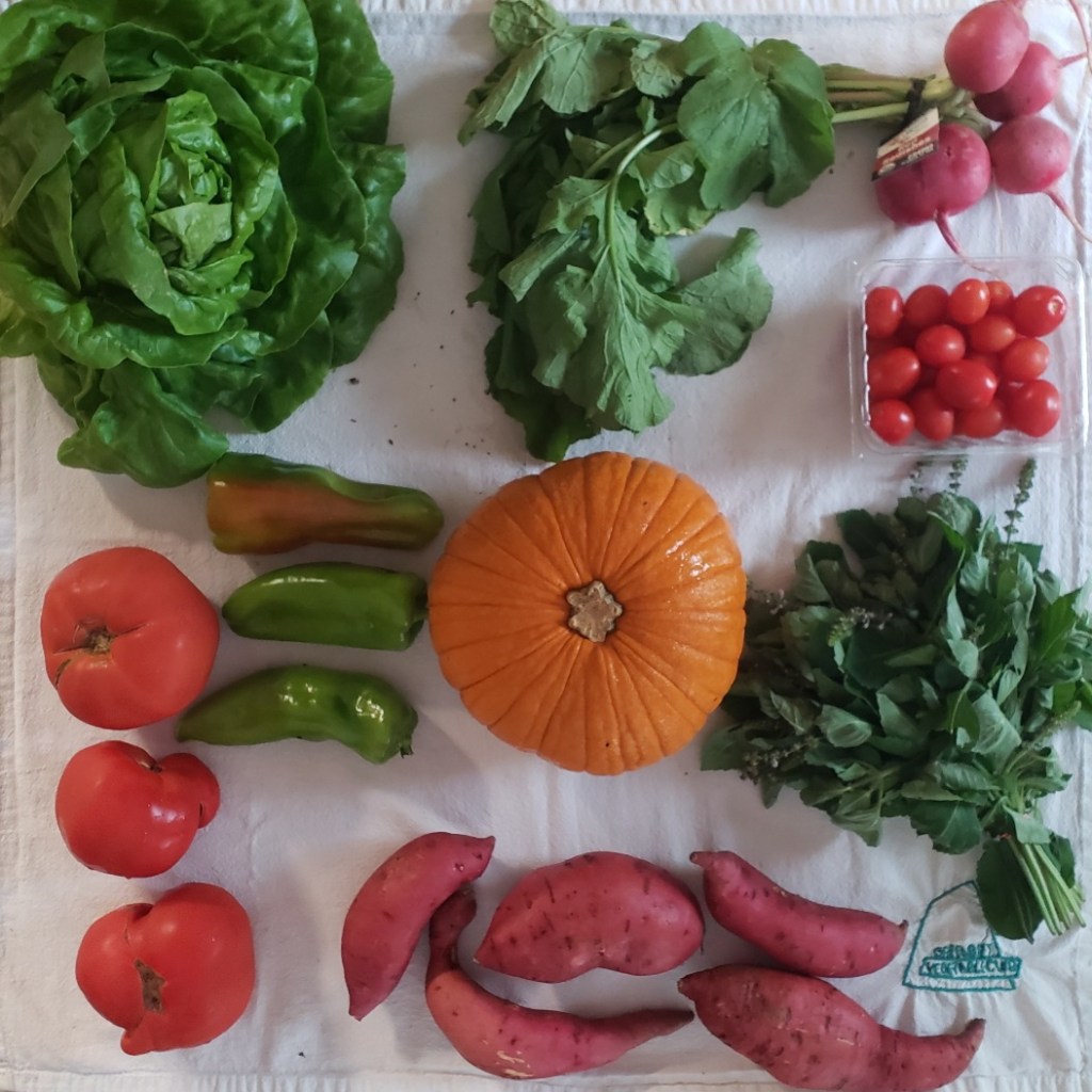 Week 22 Unboxing